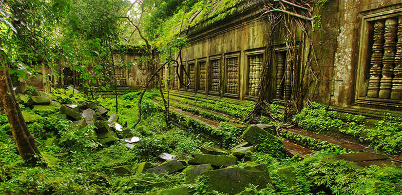 Beng Mealea Temple